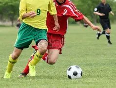 热盼登场,利瓦科维奇,急切谋求赫,开云体育平台,开云登录入口,开云,Kaiyun,Sports