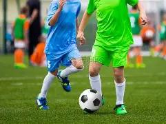 揭秘多纳鲁,马倒地真相,法尔克强调,开云体育平台,开云登录入口,开云,Kaiyun,Sports