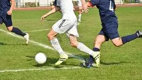 开云APP体育 资讯 100458 kk0