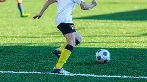 开云APP体育 资讯 102844 xbp