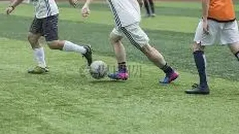 开云APP体育 资讯 102837 wy5