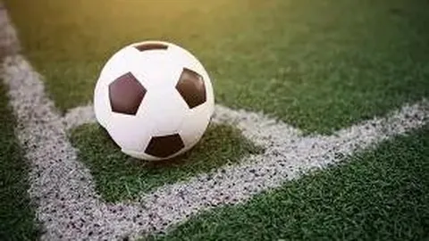 开云APP体育 资讯 103002 ijm