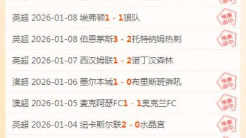 《费迪南德惊呼：防守之巅，战局狂潮！揭秘球员视角下的极限挑战》