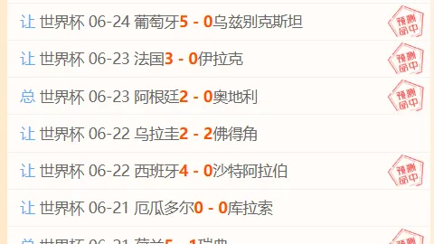 开云APP体育