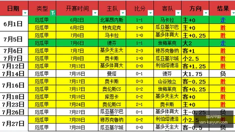 开云APP体育